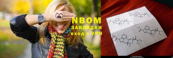 ПСИЛОЦИБИНОВЫЕ ГРИБЫ Дмитриев