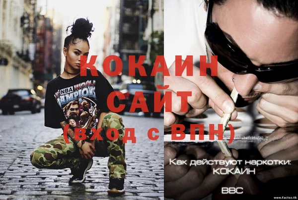 ПСИЛОЦИБИНОВЫЕ ГРИБЫ Дмитриев