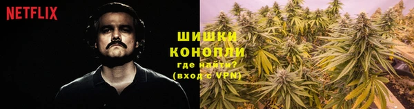 ПСИЛОЦИБИНОВЫЕ ГРИБЫ Дмитриев