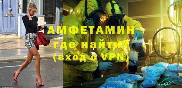 ПСИЛОЦИБИНОВЫЕ ГРИБЫ Дмитриев