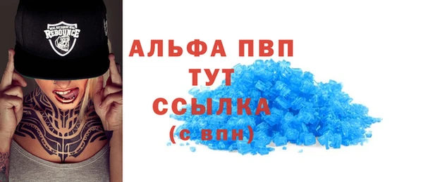 ПСИЛОЦИБИНОВЫЕ ГРИБЫ Дмитриев
