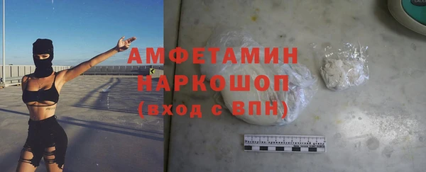 ПСИЛОЦИБИНОВЫЕ ГРИБЫ Дмитриев