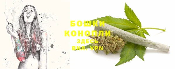 ПСИЛОЦИБИНОВЫЕ ГРИБЫ Дмитриев