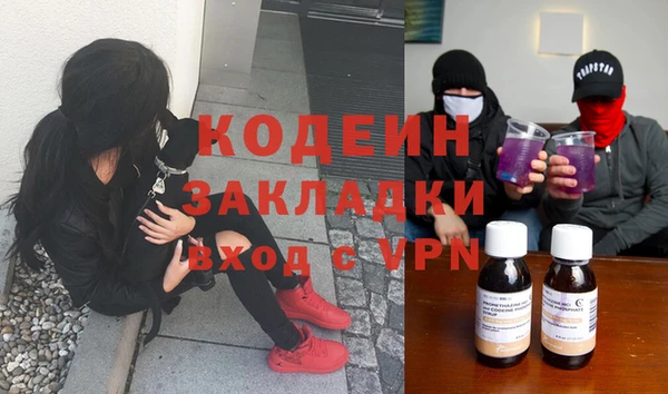 ПСИЛОЦИБИНОВЫЕ ГРИБЫ Дмитриев