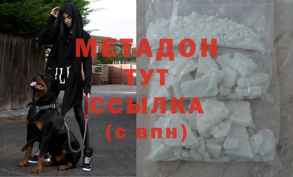ПСИЛОЦИБИНОВЫЕ ГРИБЫ Дмитриев