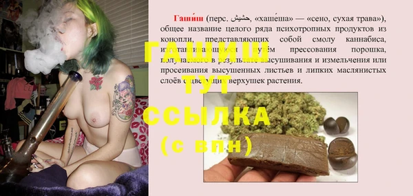 ПСИЛОЦИБИНОВЫЕ ГРИБЫ Дмитриев