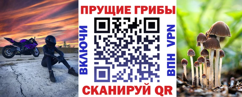 Галлюциногенные грибы MAGIC MUSHROOMS  Новосокольники 